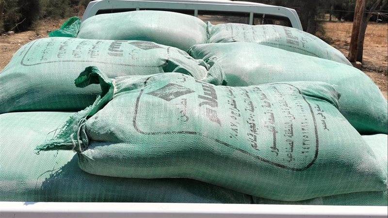 ضبط 11 طن دقيق،فيتو