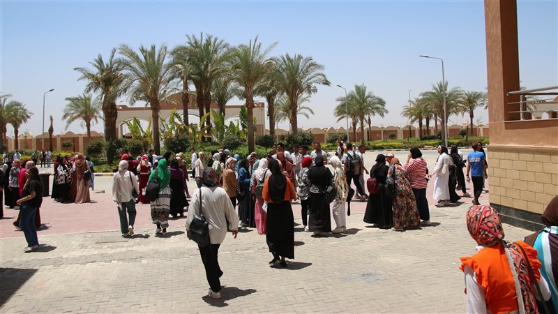 جانب من تنفيذ خطة