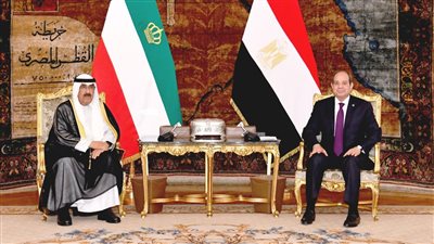  مصر والكويت تشددان على أهمية تحرك المجتمع الدولي لوقف الانتهاكات الإسرائيلية وتنفيذ حل الدولتين
