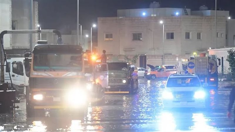 الأمطار، فيتو