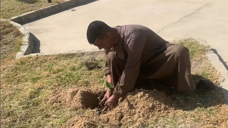 جهاز طيبة يستكمل