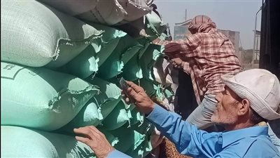 أحدث إحصاء لتوريدات القمح للشون والصوامع في الدقهلية (صور) 