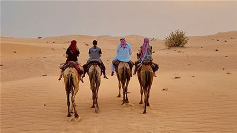تفسير حلم ركوب الجمل