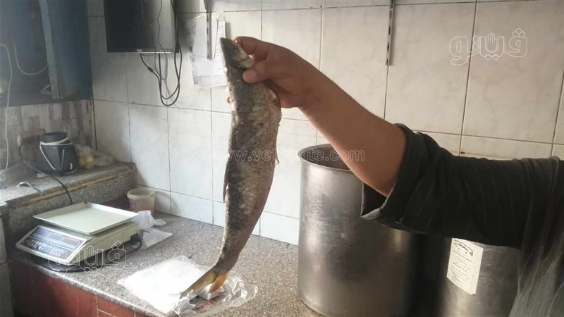 إقبال أهالي الأقصر
