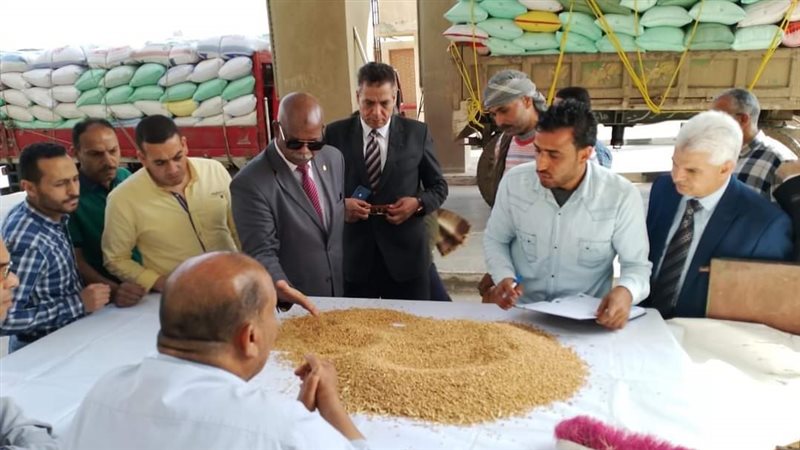 توريد محصول القمح