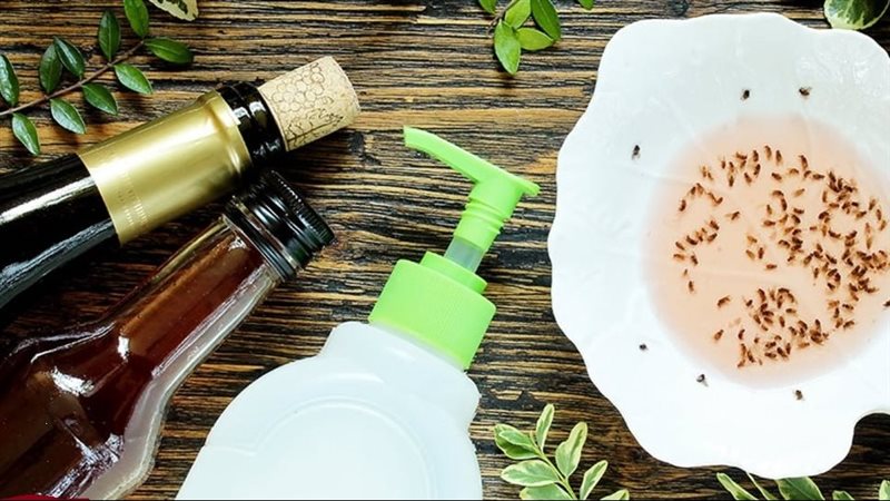 طرق طبيعية للتخلص