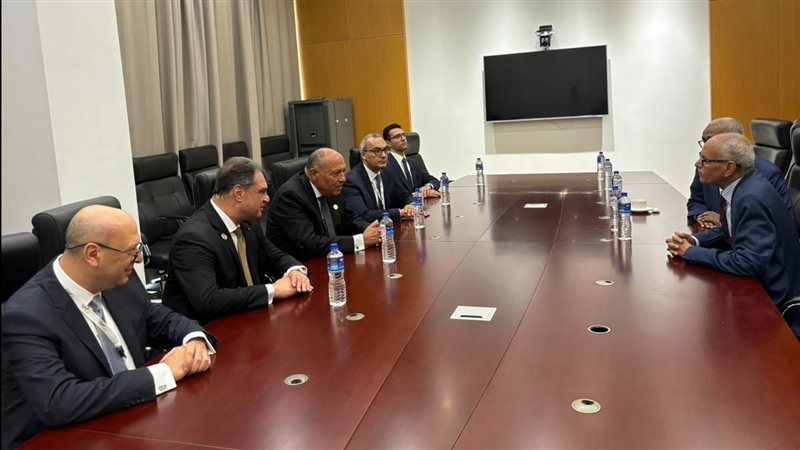 سامح شكرى وزير الخارجية،