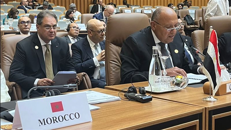 سامح شكرى وزير الخارجية،