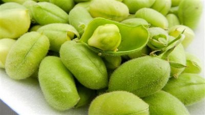 أشهر أكلات شم النسيم، الملانة بديلا للحوم وتحمي قلبك ومعدتك