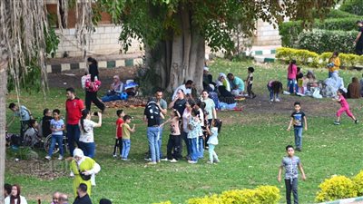 خطة التنمية المحلية لاحتفالات شم النسيم وعيد القيامة، أبرزها تفعيل مراكز الوطنية للطوارئ 