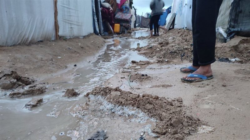 أمطار رفح، فيتو