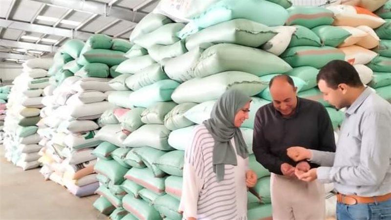 شون وصوامع البحيرة،