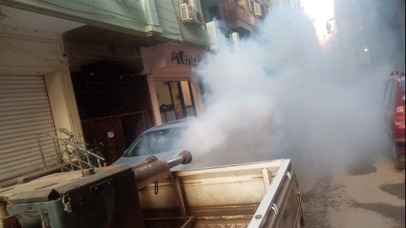 جهود صحة الدقهلية،