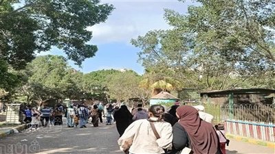 أول رد من الزراعة على صور قطع الأشجار بحديقة حيوان الجيزة