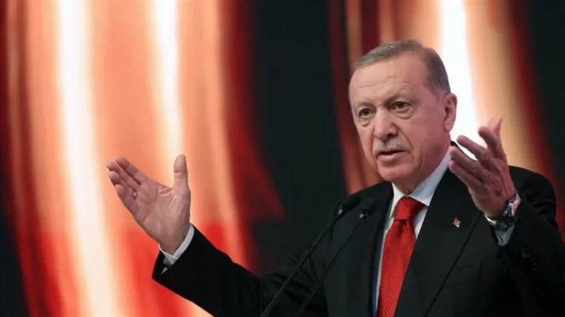 أردوغان، فيتو