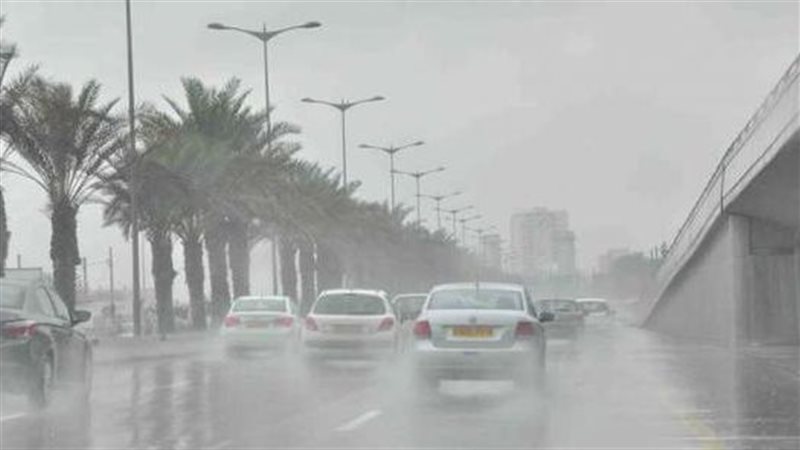 حالة الطقس، فيتو