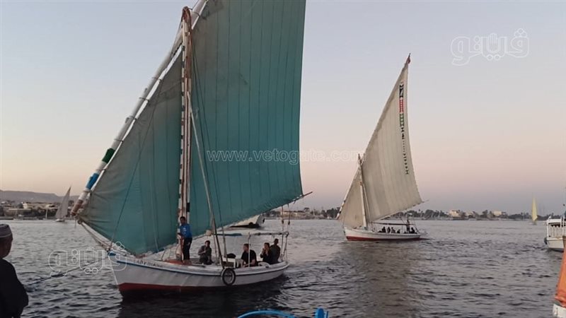 المراكب الشراعية،