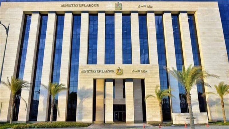 وزارة العمل، فيتو