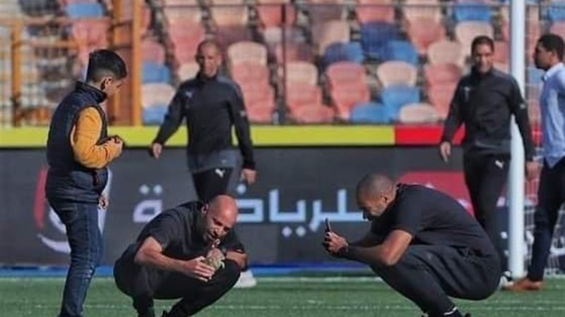 سلحفاة تظهر في استاد