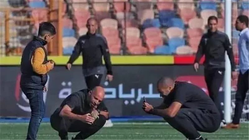 سلحفاة في ملعب مباراة