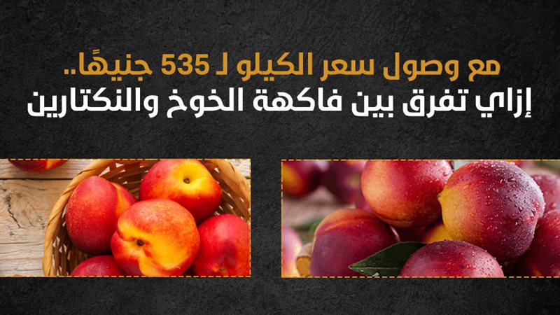 الفرق بين الخوخ والنكتارين،