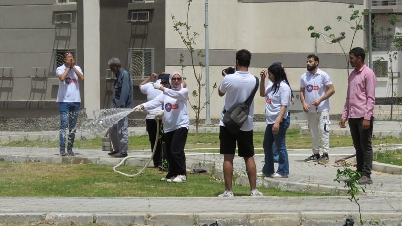 مبادرة شجرها، فيتو