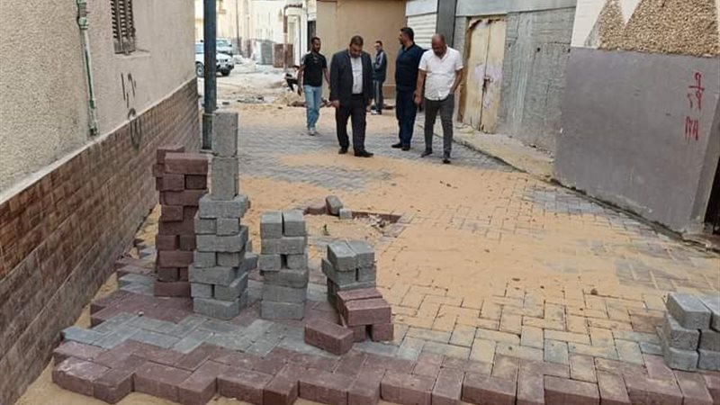 جانب من الأعمال بالبحيرة