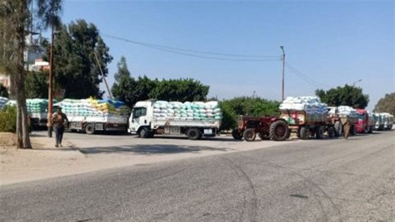 صوامع محافظة الشرقية