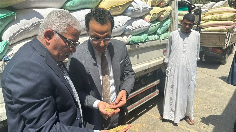 توريد القمح بالشرقية