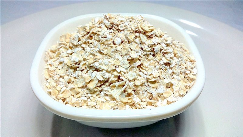 أسعار الشوفان اليوم،