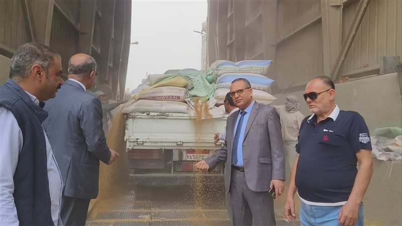 توريد القمح في الصوامع