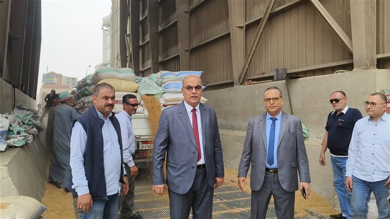 توريد القمح في الصوامع