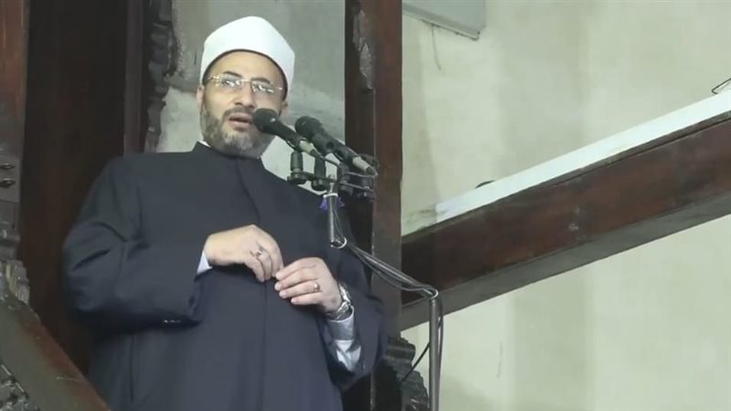  الدكتور محمود الهواري،