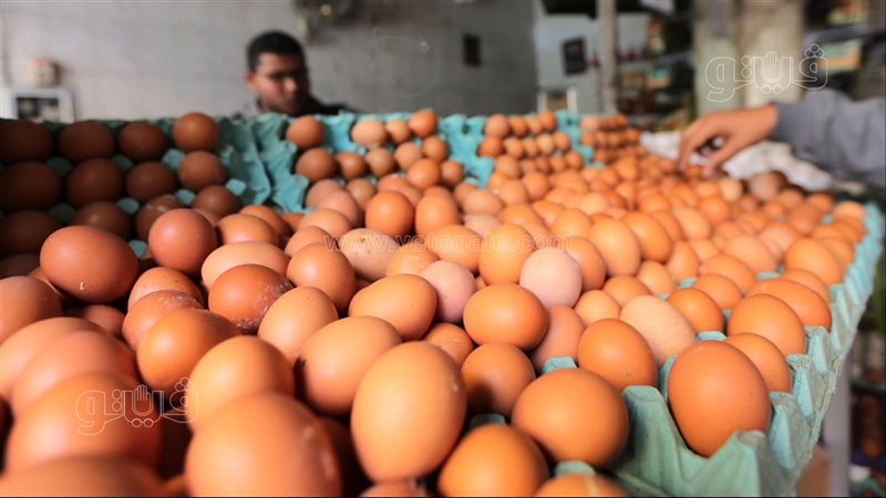 سعر البيض في السوق،