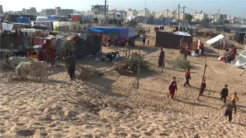المواصى، فيتو 