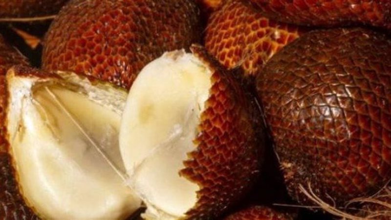أسعار فاكهة الثعبان