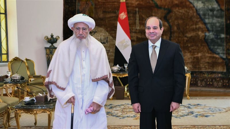 الرئيس السيسي وسلطان