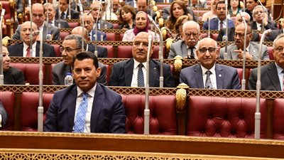نائب بالشيوخ يستشهد بفيلم التجربة الدنماركية في حضور وزير الشباب 