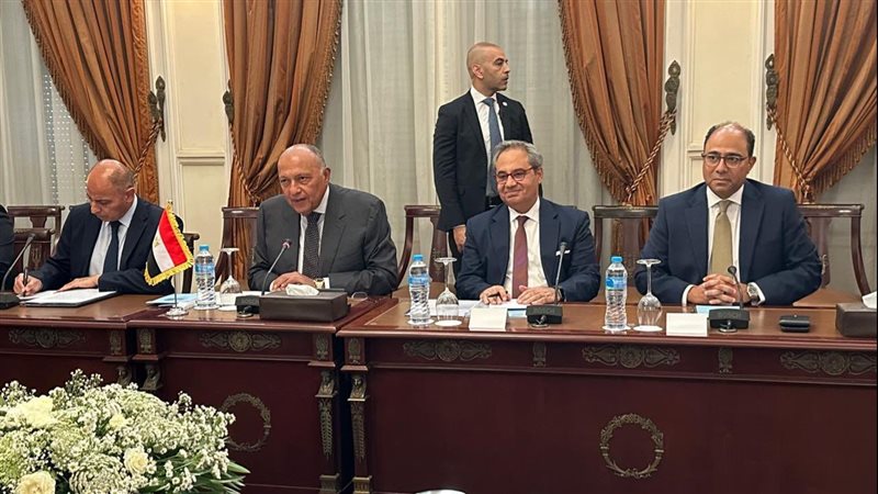 سامح شكرى وزير الخارجية