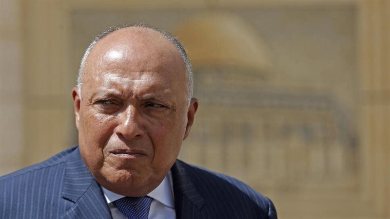 سامح شكري وزير الخارجية