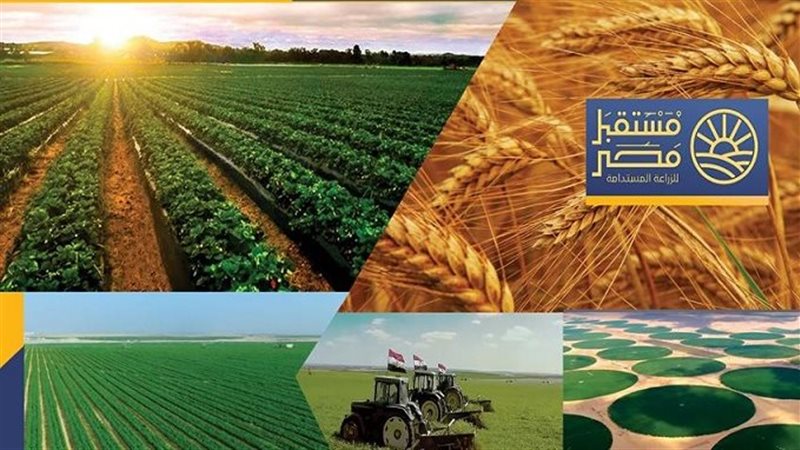 مشروع مستقبل مصر.فيتو