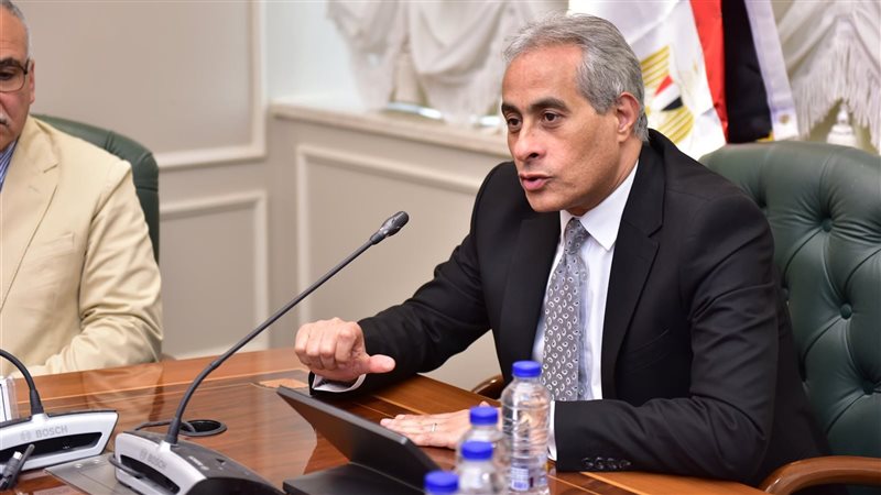 حسن شحاتة وزير العمل،