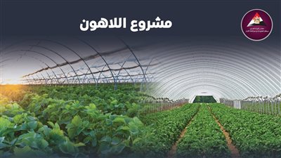 أبرز المشروعات الزراعية، كل ما تريد معرفته عن مشروع اللاهون (إنفوجراف) 