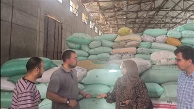 توريد 242 ألف طن قمح بصوامع وشون الدقهلية 