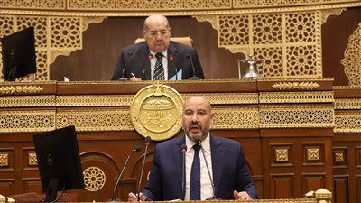نائب وزير المالية يكشف جهود مكافحة التهرب الضريبي