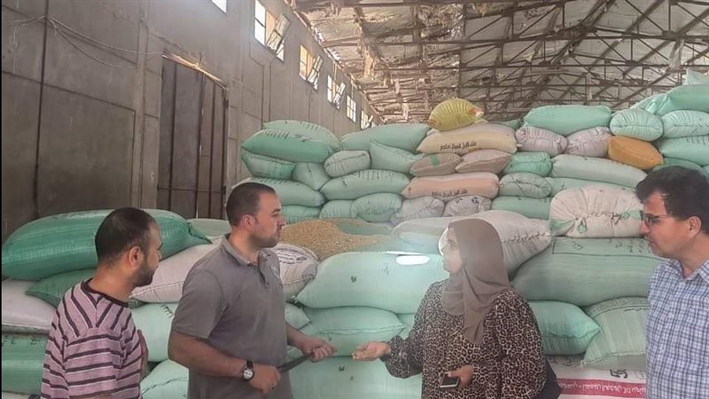 توريد القمح في الصوامع