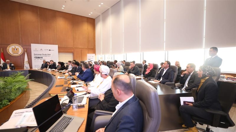 التعليم العالي والبحث