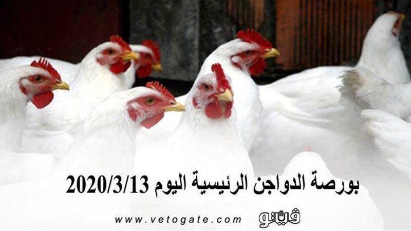فيتو