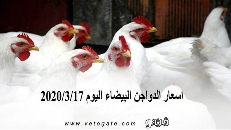 فيتو
