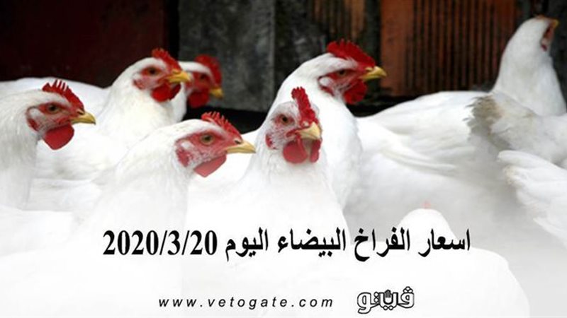 فيتو